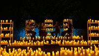 IMG_6202